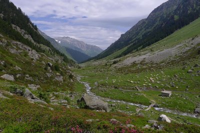 South of Lac de Suyen P1020422.jpg