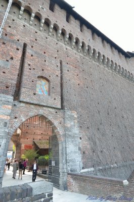 DSC_1002.jpg