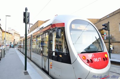 DSC_1576.jpg
