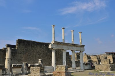 DSC_1865.jpg