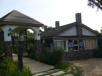 P1030993.JPG