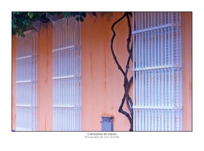 g4/38/485438/3/60013557.CartagenaVICRW_6441.jpg