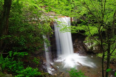 Southwestern Pennsylvania Waterfalls, May, 2011