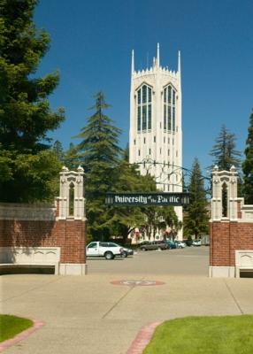 Student Backgrounds