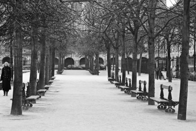 Paris in Winter