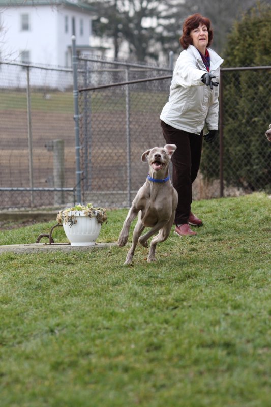 Sarge_Sophie_resized_0124.JPG