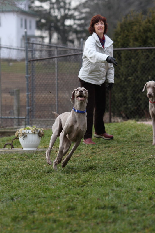 Sarge_Sophie_resized_0126.JPG