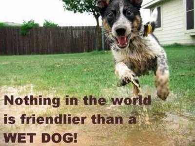 Incoming!!!!!