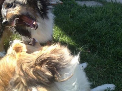 Chloe and Riley negotiating