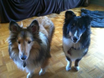 Chloe and Riley