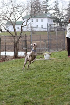 Sarge_Sophie_resized_0131.JPG