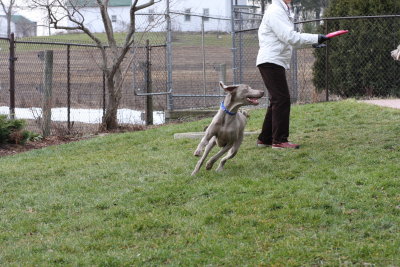 Sarge_Sophie_resized_0164.JPG