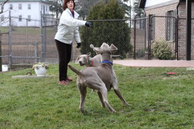 Sarge_Sophie_resized_0167.JPG