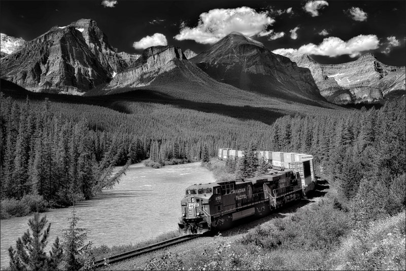 Morants Curve