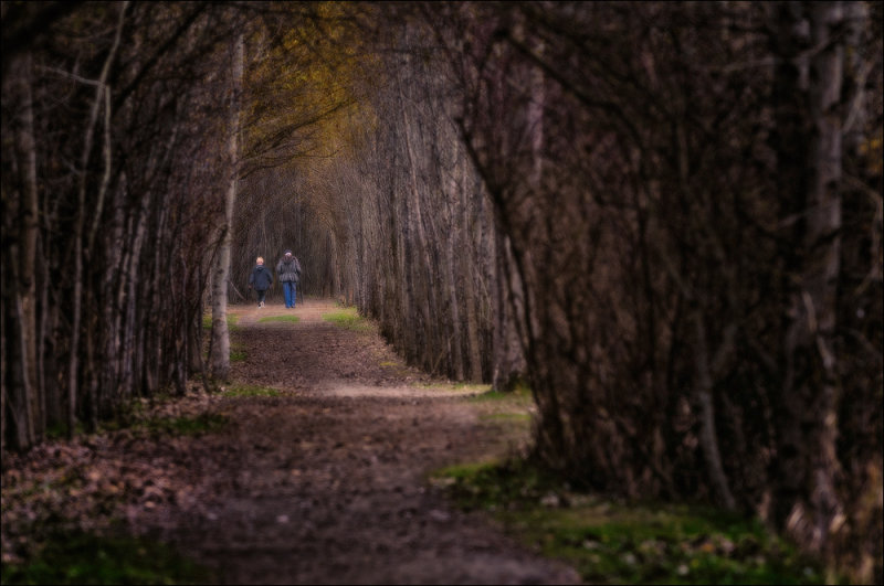 Companionable Silence