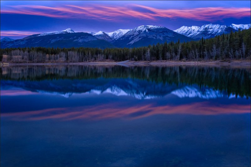 A Purple Dawn