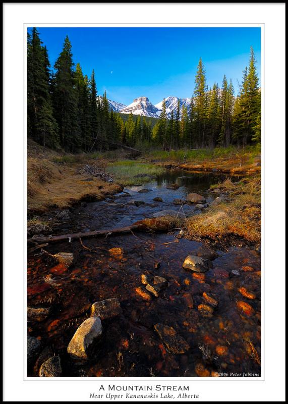 Babbling Brook