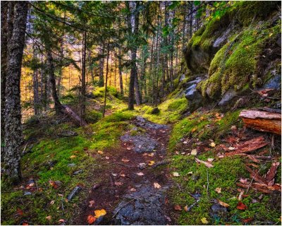 The Flume Trail