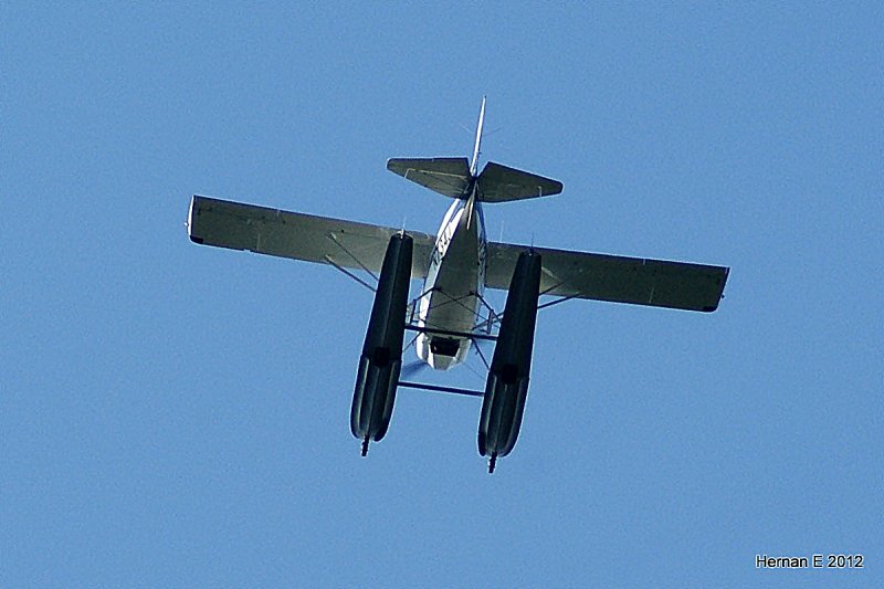 over my house