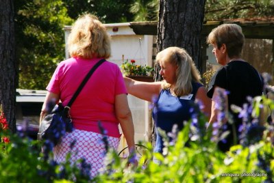 SHIRLEY GIVING GUIDED TOURS