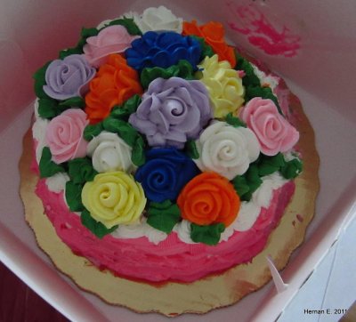 DOROTHY'S  BIRTHDAY CAKE