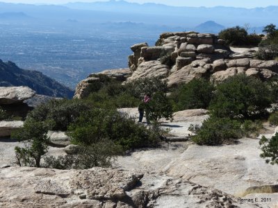 FROM MT LEMMON