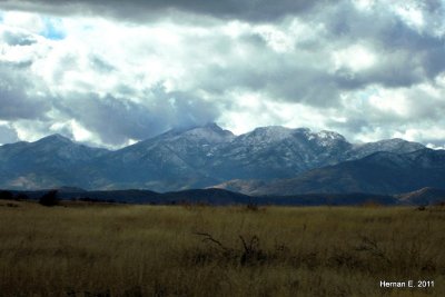 NEAR SONOITA