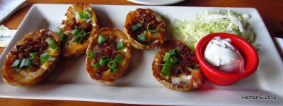POTATO SKINS