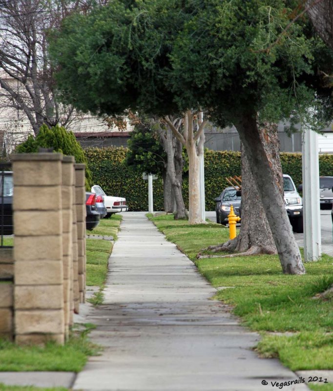 Childhood sidewalk.