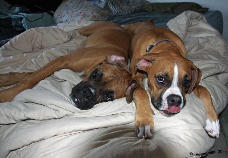 Brother and sister