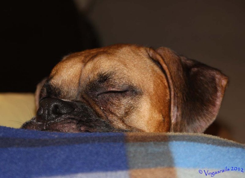Ryder 0704112