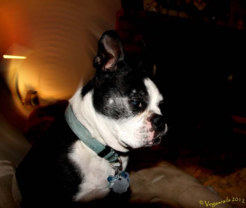 Sir Winston at 77 yr old