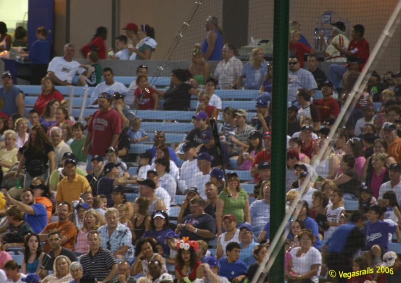 Bat and a net.