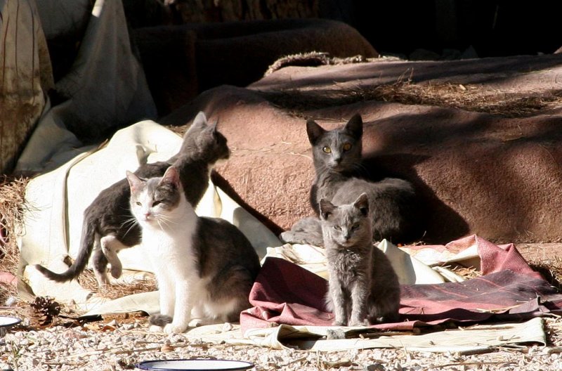 A family photo