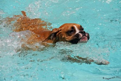 Addie swim class