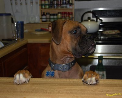 Ryder dinner