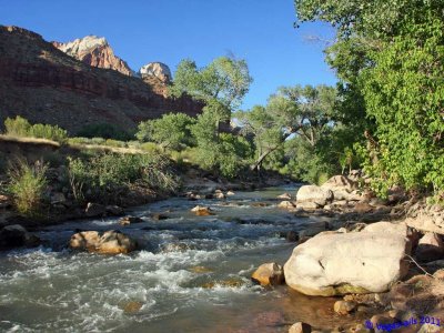 Zion north fork Virgin river