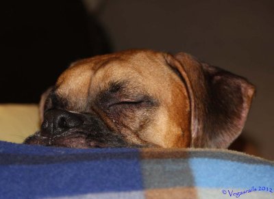 Ryder 0704112