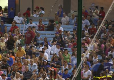 Bat and a net.