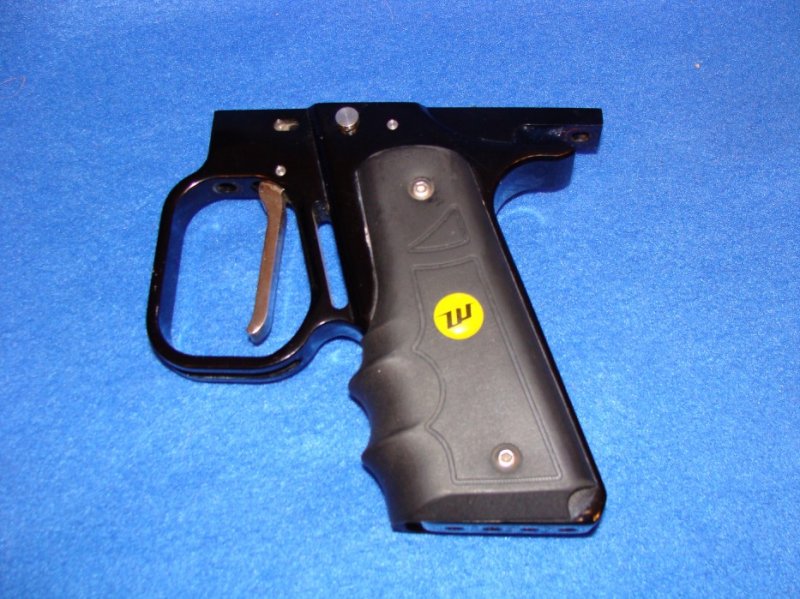 wgp swing frame yellow jewel.jpg