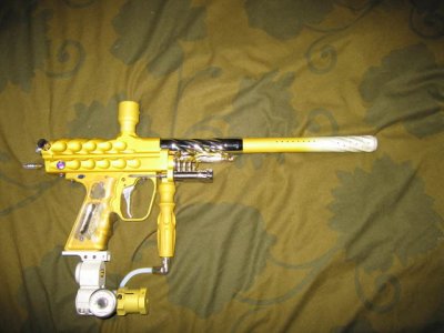 yellow cheeze cocker contest pic.jpg