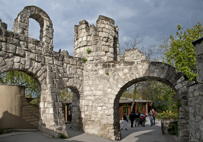 Old animal enclosure ruins