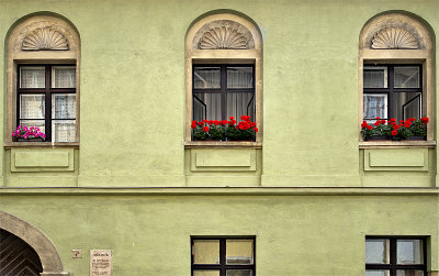 Flowerboxes