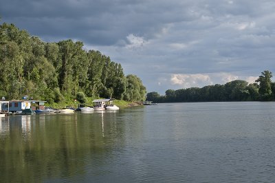 River Tisza from the car ferry