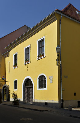 The very yellow house