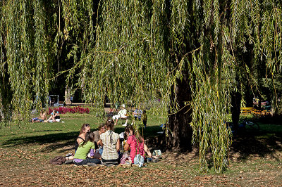Picnic haven