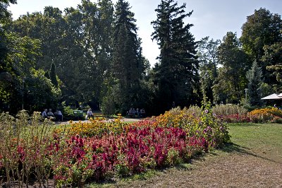 One of the many gardens