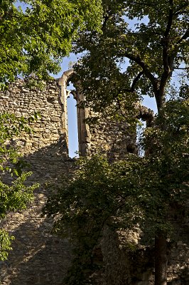 Ruins, 14th century Franciscan church