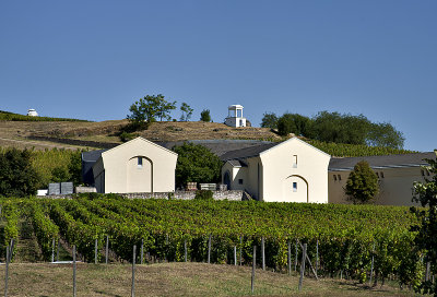 Srga Borhz winery