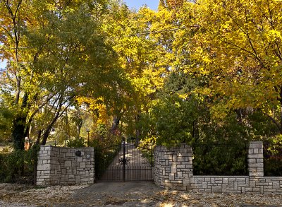 Fall comes to our garden